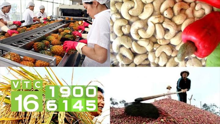 Xu hướng Phụ huynh “bắt trend”: Chọn: Hotspot Matrix tiết lộ bí quyết video viral