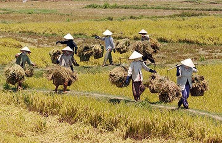 Cô giáo mầm non và hành trình 