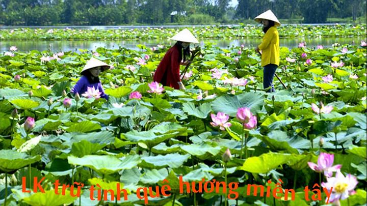 Triệu Video Lên Sóng: Nhịp Đập Hotspot Matrix