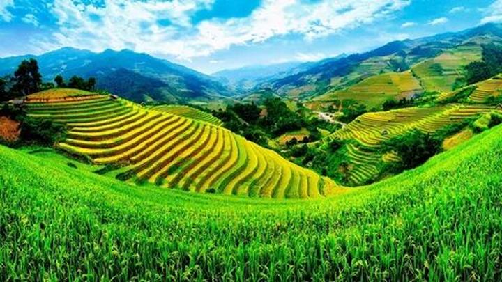 Tỏa Sáng Trên Mạng Xã Hội: Chuyên Gia Trang Điểm & Hotspot Matrix